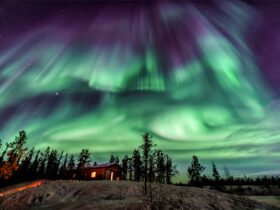 Polarlichter sehen – Ein unvergessliches Naturerlebnis